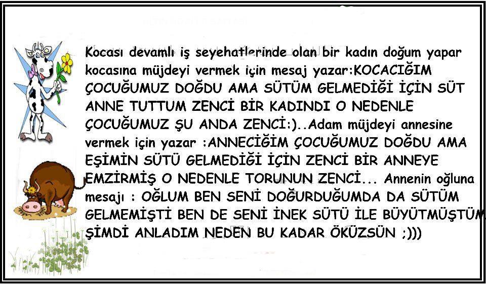 Yaşatılan Sözler Şimdi Anladım Neden Bu Kadar Öküzsün